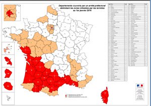 Carte infestation termites CHARENTE MARITIME